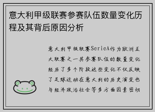 意大利甲级联赛参赛队伍数量变化历程及其背后原因分析