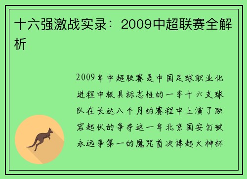 十六强激战实录：2009中超联赛全解析